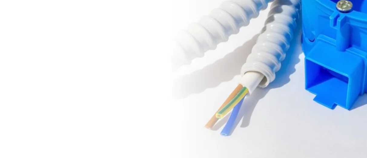 2026 02 11 123859385