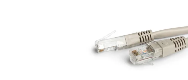 2026 02 11 130312005