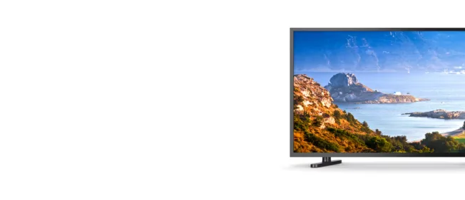 2026 02 11 134046141